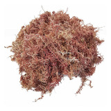 Musgo Sphagnum 10 Litros Substrato Para Plantas E Orquídeas