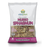 Musgo Sphagnum Substrato Raízes E Plantas 100g Vitaplan