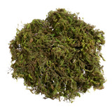Musgo Verde Esfagno Desidratado Orquídeas Terrário 1 Litro
