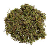 Musgo Verde Esfagno Desidratado Orquídeas Terrário 50 Lts