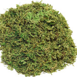 Terrário