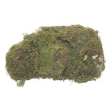 Kokedama