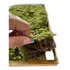 Musgo Verde Vivo Para Decoração De Terrários Kokedamas Decor