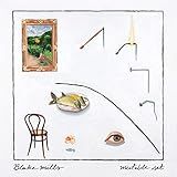 Mutable Set