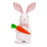 My New Easter Bunny