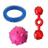 MY PET BRASIL Kit Brinquedos Para Cachorros Médio Mordedores Divertidos Brinquedo Interativo Para Pet Divertido E Resistênte Cores Sortidas