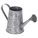 MyGift Pequeno Vaso Decorativo De Metal Galvanizado Com Design Em Formato De Regador Vintage Para Flores Artificiais Plantas Artificiais E Palitos Secos Feito À Mão Na Índia 5 Polegadas Prata