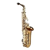 Namolit Eb Saxofone Alto Latão Lacado Alto Sax Instrumento De Sopro Com Estojo De Transporte Luvas Correias Pano De Limpeza E Escova Saxofone Mute Palhetas Bocal Pad Bocal Escova