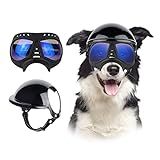 Namsan Capacete E óculos De Sol Para Cães Grandes, óculos De Proteção Uv Para Cães Chapéu Esportivo Para Cães Grandes, óculos Azuis Claros