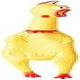 Cães