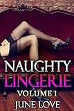 Naughty Lingerie  Volume 1  A Sexy Photo Book Of Erotic Photography  English Edition 