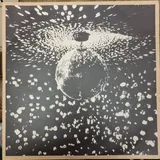 Neil Young Mirror Ball