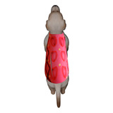 Neoprene Com Abrigo Removivel