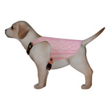 Neoprene Com Abrigo Removivel