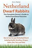Netherland Dwarf Rabbits English Edition 
