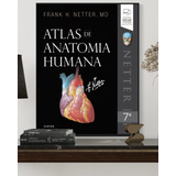 Netter Atlas De Anatomia