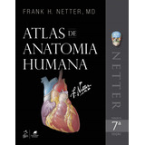 Netter Atlas De Anatomia