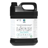 Lotus