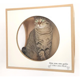 Nekocat