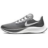Nike Air Zoom Pegasus
