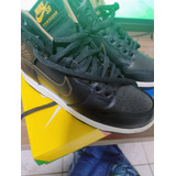 Nike Dunk High Sb