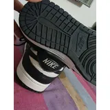 Nike Dunk Pro Low