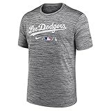 Nike Los Angeles Dodgers City Connect Los Dodgers Velocity Men-s Gray T-Shirt