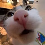64