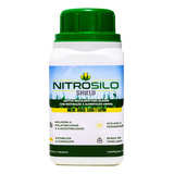 Sorgo