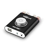 Nobsound Ns-20g 200w Mini Amplificador De Potência Bluetooth 5.0 Canais Receptor Sem Fio Hi-fi Dsp Stereo Audio Amp Display Led (preto)