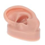 NOLITOY 2 Peças Modelo De Ouvido Humano Orelha De Acupuntura De Borracha Partes Do Corpo De Silicone Para Piercing Orelha Humana De Borracha Perfurar Mani Aluna Gel De Sílica Corpo Humano