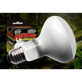 Nomoypet Lâmpada Aquecimento Uva Fosco Nd 05 75w 110v