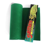 Reptil