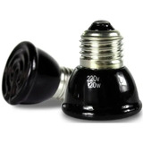 220v
