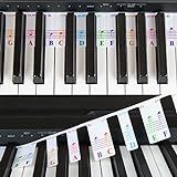 Notas Coloridas De Teclado De Piano