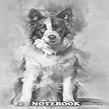 Notebook: Border Collie 1 Year Old Sitting , Journal For Writing, College Ruled Size 6