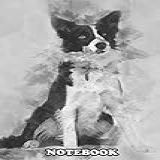 Notebook: Border Collie 1 Year Old Sitting , Journal For Writing, College Ruled Size 6