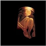 Nothing Safe Audio CD Alice In Chains