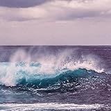Nautica