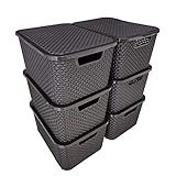 Novo Kit 6 Caixas Organizadoras Rattan 20 Litros 42x29 5x20cm 