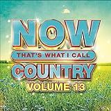Now That S What I Call Country Volume 13  CD 
