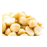 Noz Macadamia Metades Natural