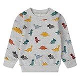NUBEEHOHO Moletom Infantil De Algodão Casual Manga Longa Camisetas Infantis Inverno Pulôver Suéter 2T 8T 2 Dinossauro 005 3 Anos