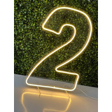 Números De 0 A 9 Painel Neon Led Decoração Festa 50 Cm
