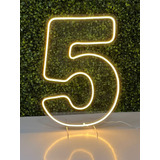 Números De 0 A 9 Painel Neon Led Decoração Festa 50 Cm