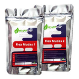Microverdes