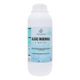 Marinhas1l