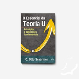 O Essencial Da Teoria