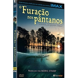 O Furacao Nos Pantanos