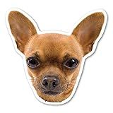 O ímã Chihuahua Da Magnet America